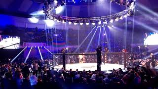 MMA, Москва, 2017 год. Польша, часть 1