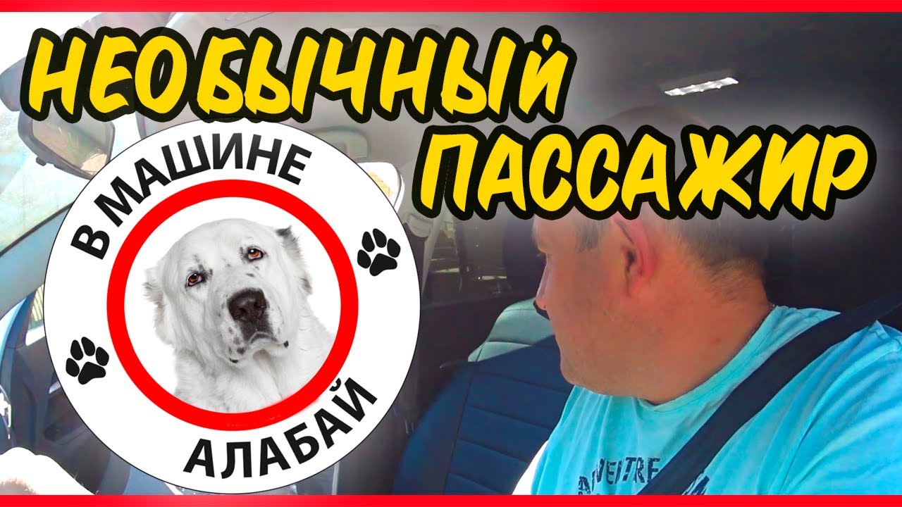 Сколько зарабатывают таксисты в сочи