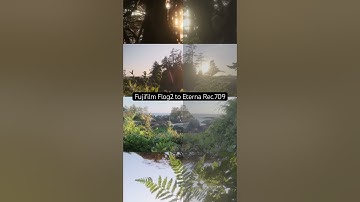 Google Fujifilm Flog2 LUT for free conversion LUTS from Fujifilm website. #fujifilm #videography