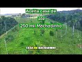 Sítio à Venda em Rondônia com Estrutura para Leite | 9 Alqueires Formados