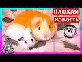 ОЧЕНЬ ГРУСТНАЯ НОВОСТЬ / ЯПОНСКАЯ МЫШКА АЛИСА / МОРСКИЕ СВИНКИ / Alisa Easy Pets