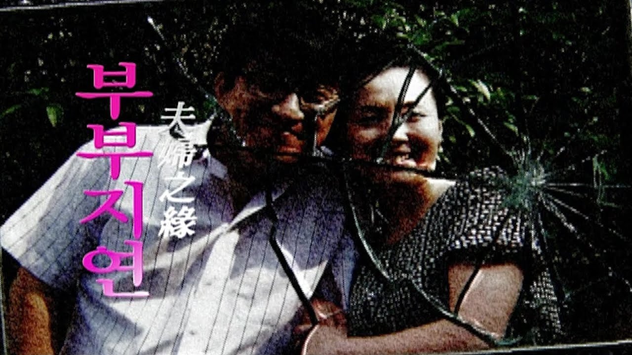 [현장추적 싸이렌] 부부지연 - 부부싸움은 칼로 물 베기라던데...