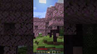 Você Nunca Imaginou Essa Vista em uma Casa no Deserto no Minecraft