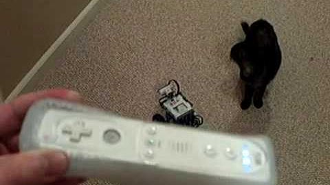 UCSD Embedded Computer Hardware Interfacing Project