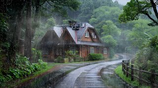 The Sound Of Rain On The Forest Path - Relaxing And Stress-relieving Sound For Deep Sleep