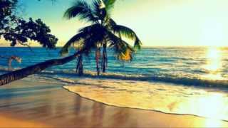 Watch Israel Kamakawiwoole White Sandy Beach Of Hawaii video