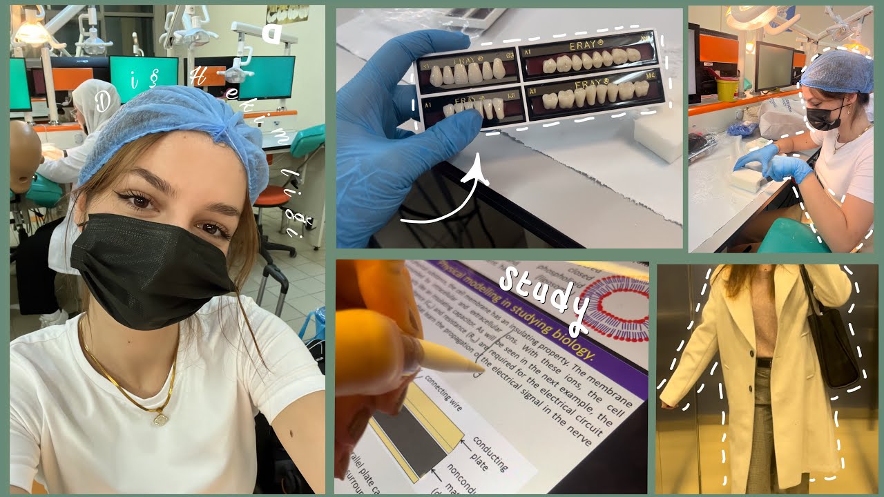 DİŞ HEKİMLİĞİ 1. SINIF VLOG | sabuna şekil vermek, kediler ve İstanbul 🩷