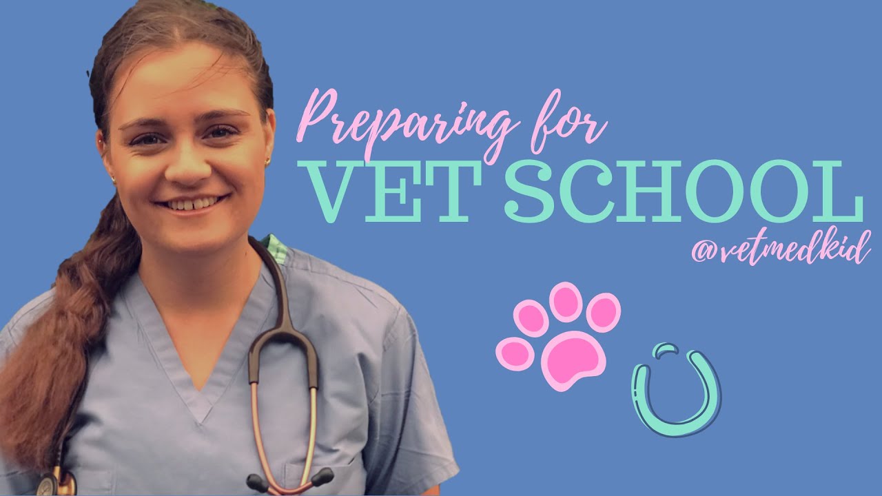 do you have homework in vet school