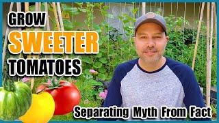 How to Grow SWEETER Tomatoes. Separating Myth from Fact