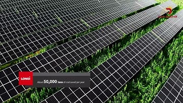 Nông Nghiệp Kết Hợp Điện Mặt Trời – Giải Pháp Kiếm Tiền Kép | Điện Mặt Trời Ánh Dương