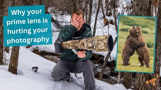 Is your prime lens holding you back? Why you may want to switch lenses in your wildlife photography by Jimmy Breitenstein 3,554 views 3 months ago 7 minutes, 16 seconds