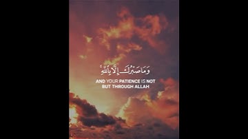 القارئ ياسر الدوسري سورة (النحل)