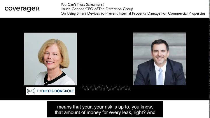 Ep13 Laurie Conner, CEO of The Detection Group on ...