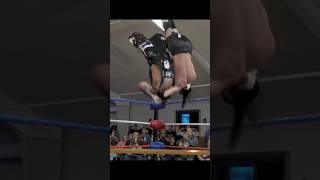 Top Rope Spanish Fly through a door! #shorts #dezmondcole #alecprice