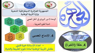 الحلقة الاخيرة من الادماج العصبي