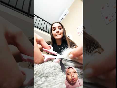 اقطعها فقط ريمكس مضحك دبلجة