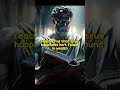 Stoicism Explained: Master Your Mind in a Chaotic World 🌿 | Ancient Wisdom for Modern Life