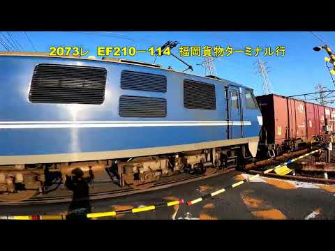 岩国市の東洋紡前踏切を通過する　115系電車　瀬戸内色　2071レ　EF210－316　71レ　EF210－8　2073レ　EF210－114