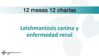 12 meses 12 charlas: Leishmaniosis y enfermedad renal