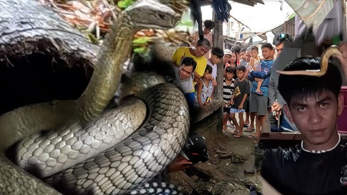 Минни маустың порно суреттері