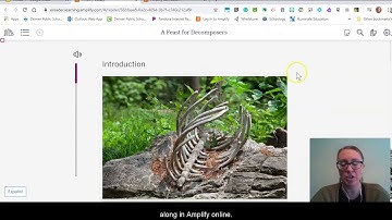 Grade 7: Matter and Energy in Ecosystems, Lesson 6 (Part 3 of 3)