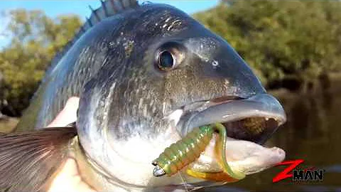 Soft Plastics 101 - Chapter 9 - Curl Tail Plastics