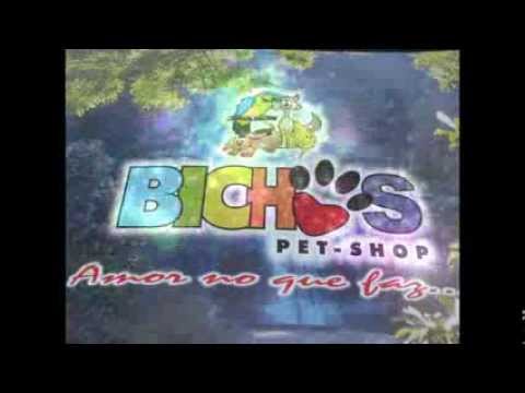 BICHOS PET-SHOP