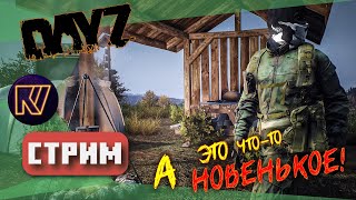 ИЩЕМ НОВЫЕ ШАПКИ (ОБНОВЛЕНИЕ) ● DayZ