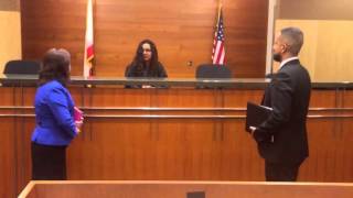 Mandarin Chinese for Lawyers - Final Project