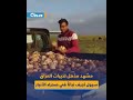سيول الأنبار في العراق تجرف نباتاً تسبّب بحالة من الجدل على وسائل التواصل الاجتماعي