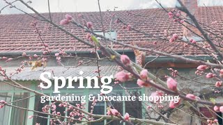 Spring gardening, brocante and more