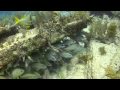shipwreck, florida, keys, national, marine, sanctuary, maritime, archaeology, city of washington