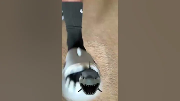 shark slippers for summer, New Shark cloud slides, shark slides slippers #shorts #short #shortvideo