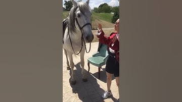 張韶涵對白馬唱情歌