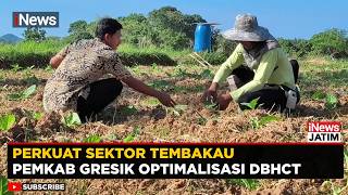 Download lagu DBHCHT 2026 Dimaksimalkan! Pemkab Gresik Perkuat Sektor Tembakau | iNews Jatim