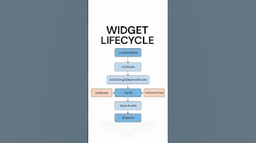 Widget Lifecycle in Flutter Explained | Stateful & Stateless Widgets #flutter #shorts #widget #dart