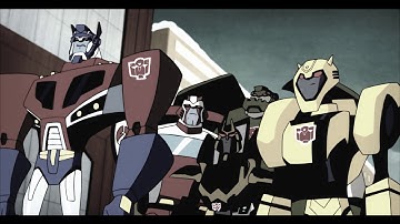 Transformers Animated AMV- What Have You Done