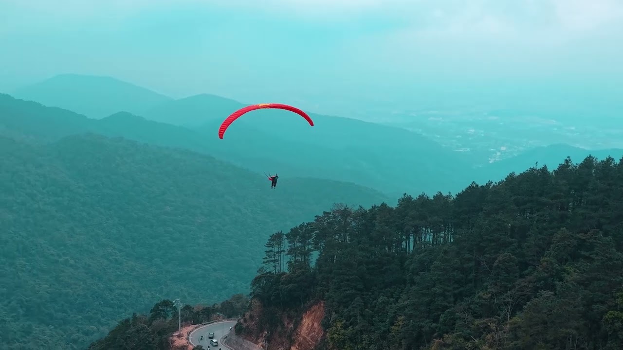 ⁣DÙ LƯỢN TAM ĐẢO | 2.2.2025 | Mr Thanh
