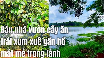 Bán nhà vườn cây ăn trái 2263m2 có thổ cư, Đường nhựa ,vị trí gần hồ, mát mẻ trong lành. Ở BRVT