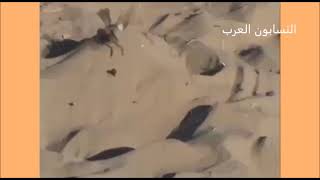 صيد الطيور في مطروح في مصر