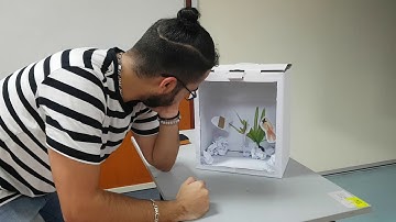 Capstone mock prototype