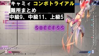 コンボトライアル キャミィ 難所まとめ（中級9・中級11・上級5）｜フーリガンコンビネーションの暴発・ホールドのキャンセルタイミング・ODフーリガンのボタンの組み合わせ