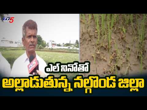 ఎల్ నినో పంజా | 21 Lakh Acres At Risk Due To El Nino In Nalgonda || TV5 News - TV5NEWS
