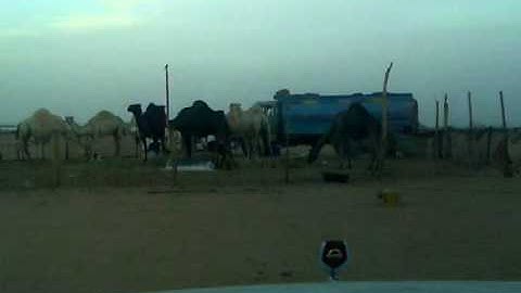 دحيم الحماد من أذكار المساء ١٤٣٢ ه رنية