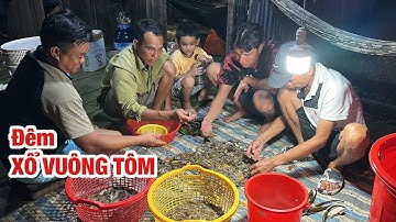 Trải Nghiệm 24h Giữa Đất Rừng Cà Mau P3 • Xổ Vuông Tôm Tha Hồ Lựa Tôm, Cua, Cá | Bông Lúa Đồng Tháp