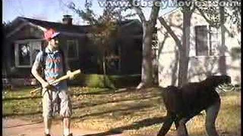 Earthbound Saga - Chapter 1