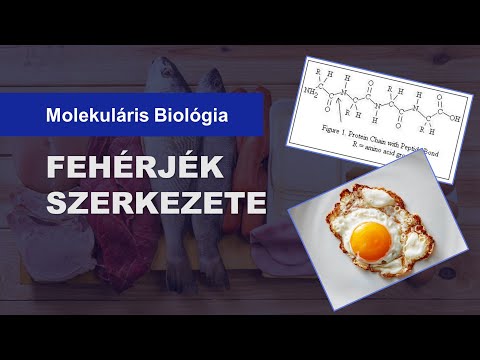 Videó: Mi a kapcsolat a szerkezet és a funkció között?