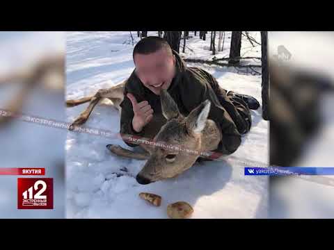 Поймали косулю ради лайков | видео