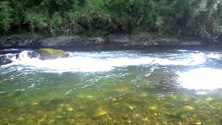 Río Quinchilca al interior de Folilco (II)