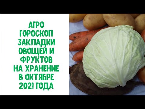 Video: Зодиак белгиси боюнча эң акылдуу балдар